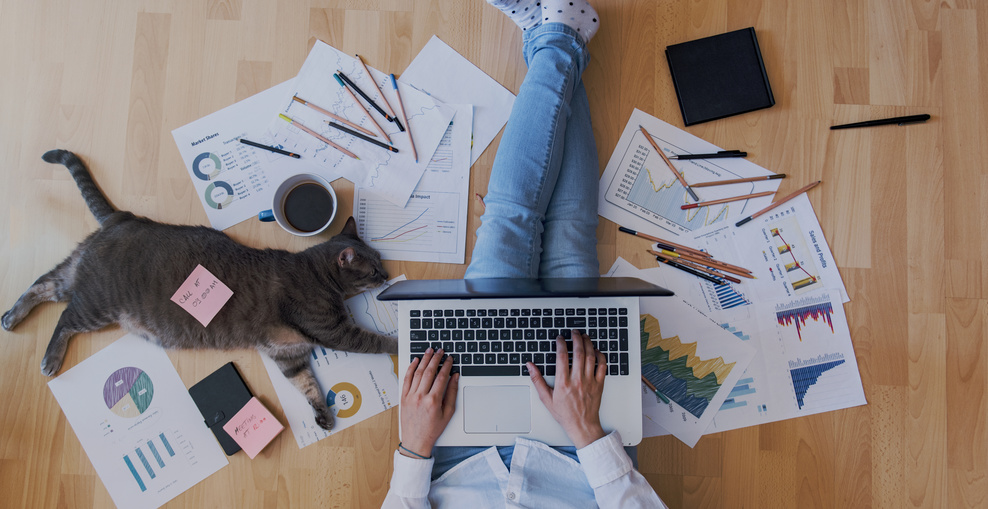 Mann mit Laptop und Katze im Homeoffice